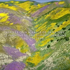 Femme GUERLAIN Aqua Allegoria Forte Florabloom                Eau de Parfum - Flacon Recharge