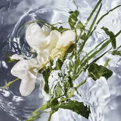 Femme GUERLAIN Aqua Allegoria Herba Fresca                Eau de Toilette