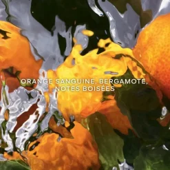 Femme GUERLAIN Aqua Allegoria Orange Soleia                Eau de Toilette - Fin de Collection