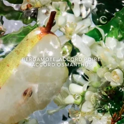 Femme GUERLAIN Aqua Allegoria Pera Granita                Eau de Toilette