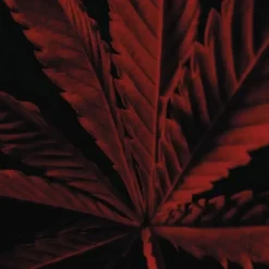 Homme GUERLAIN Habit Rouge L'Instinct                Eau de Toilette Intense