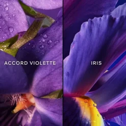 Femme GUERLAIN Insolence                Eau de Parfum