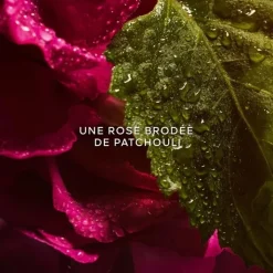 Femme GUERLAIN La Petite Robe Noire                Eau de Parfum Absolue