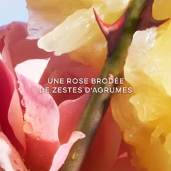 Femme GUERLAIN La Petite Robe Noire Eau de Toilette