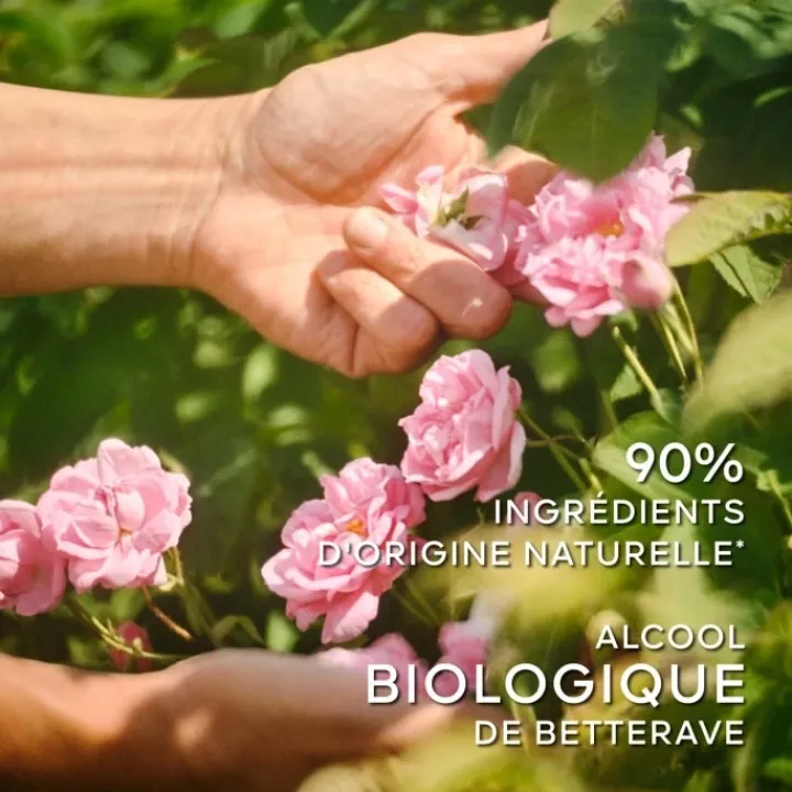 Femme GUERLAIN La Petite Robe Noire Eau de Toilette