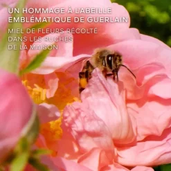 Femme GUERLAIN La Petite Robe Noire Honey Rose                Eau de Parfum