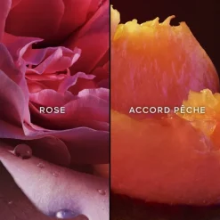 Femme GUERLAIN Nahema                Eau de Parfum