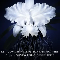 GUERLAIN Orchidée Impériale                La Crème - La Recharge
