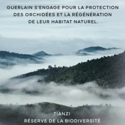 GUERLAIN Orchidée Impériale                La Mousse en Crème