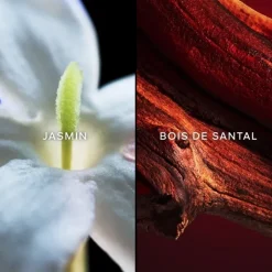 Femme GUERLAIN Samsara Eau de Toilette