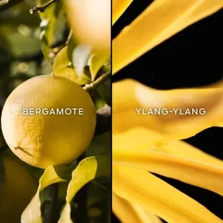 Femme GUERLAIN Terracotta                Eau de Toilette