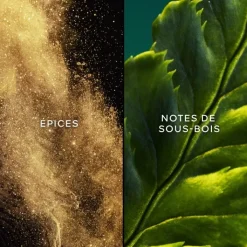 Femme GUERLAIN Vol de Nuit                Eau de Toilette