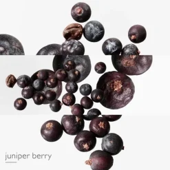 Femme HERMÈS Eau des Merveilles Bleue Recharge Eau de Toilette