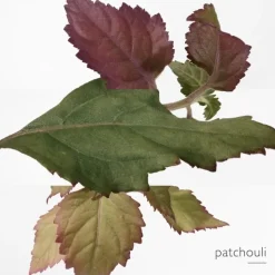 Femme HERMÈS Eau des Merveilles Bleue Recharge Eau de Toilette