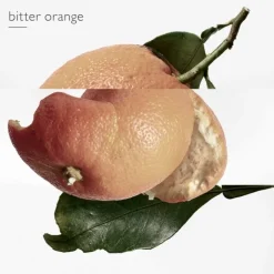 Femme HERMÈS Eau des Merveilles                Recharge Eau de Toilette