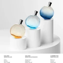 Femme HERMÈS Eau des Merveilles                Recharge Eau de Toilette