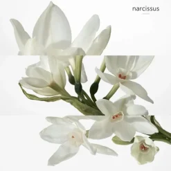 Homme HERMÈS H24                Déodorant Spray Fraîcheur