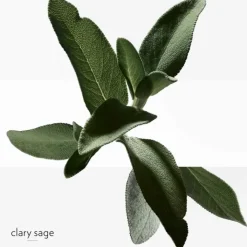 Homme HERMÈS H24                Déodorant Stick Fraicheur