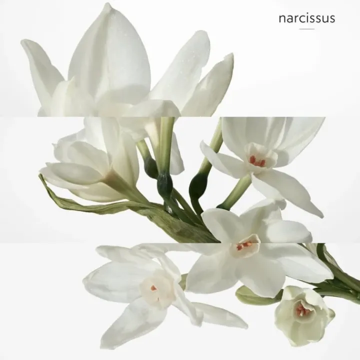 Homme HERMÈS H24 Lavant Solide Visage et Corps