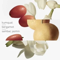 HERMÈS Le Jardin de Monsieur Li                Eau de Toilette - Flacon Recharge