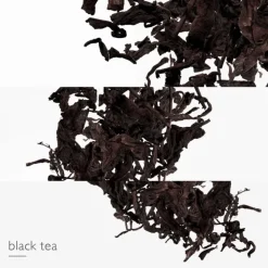 Femme HERMÈS L'Ombre des Merveilles                Eau de Parfum