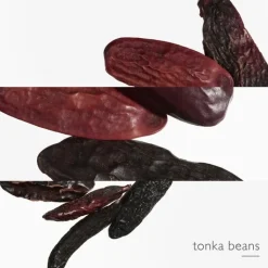 Femme HERMÈS L'Ombre des Merveilles                Eau de Parfum