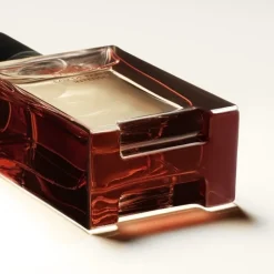 Homme HERMÈS Terre d'Hermès                Eau de Parfum Intense