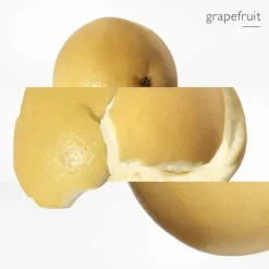 Homme HERMÈS Terre d'Hermès                Eau de Toilette