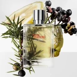 Homme HERMÈS Terre d'Hermès Eau Givrée                Recharge Parfum