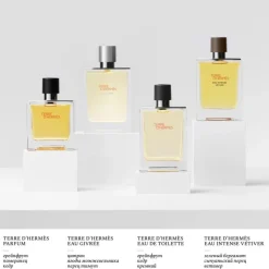 Homme HERMÈS Terre d'Hermès Eau Givrée                Recharge Parfum