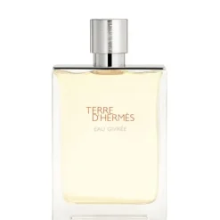 Homme HERMÈS Terre d'Hermès Eau Givrée                Eau de Parfum