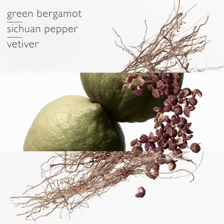 Homme HERMÈS Terre d'Hermès Eau Intense Vétiver - Eau de Parfum