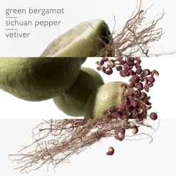 Homme HERMÈS Terre d'Hermès Eau Intense Vétiver - Eau de Parfum