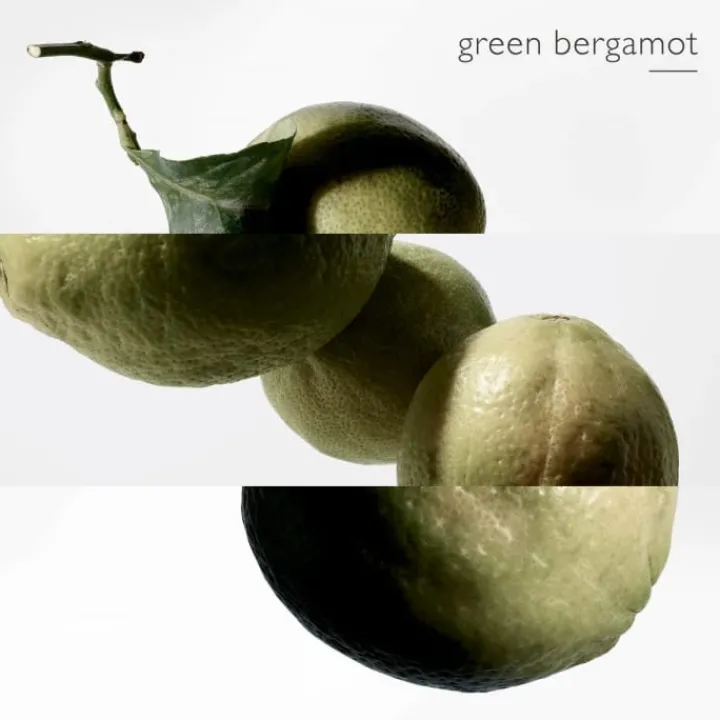 Homme HERMÈS Terre d'Hermès Eau Intense Vétiver - Eau de Parfum