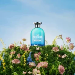 Homme Hollister Feelin' Good for Him                Eau de Toilette