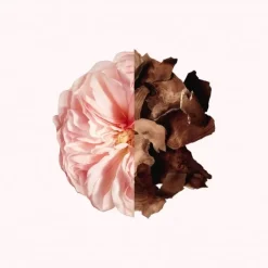 Femme GIVENCHY Irresistible Eau de Parfum