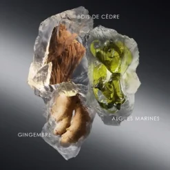 Homme Issey Miyake Le Sel d'Issey                Eau de Toilette