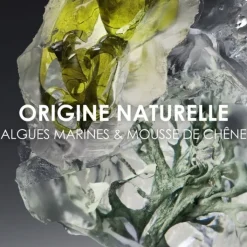 Homme Issey Miyake Le Sel d'Issey                Eau de Toilette