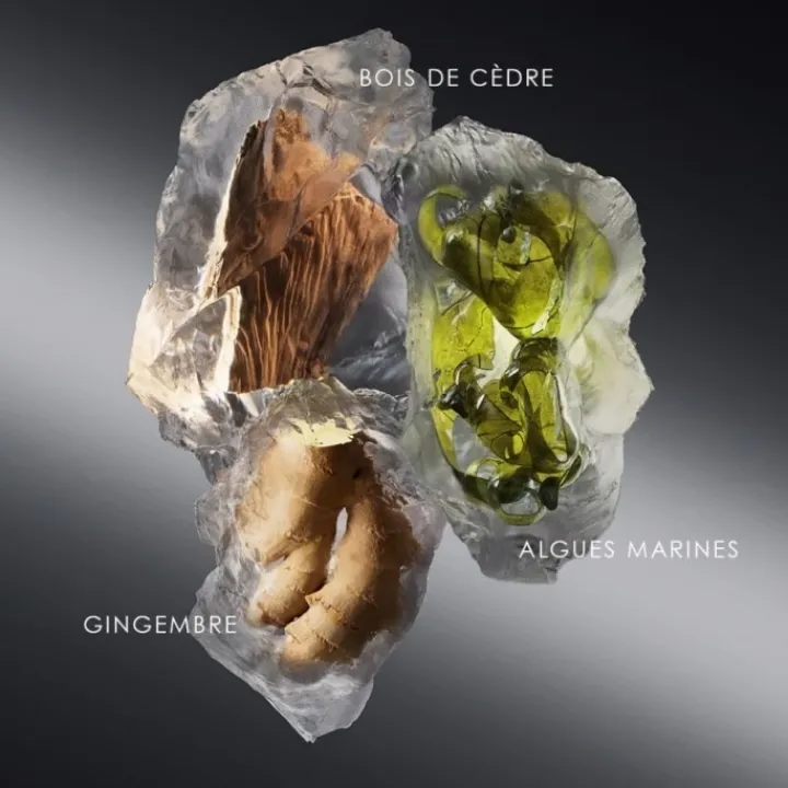 Homme Issey Miyake Le Sel d'Issey Eau de Toilette - Flacon-Recharge