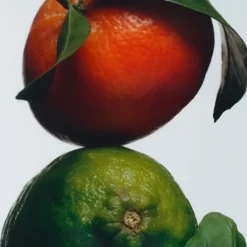 Jo Malone Lime Basil & Mandarin                Cologne