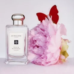 Jo Malone Peony & Blush Suede                Cologne