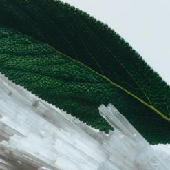 Jo Malone Wood Sage & Sea Salt Gel Moussant Nettoyant