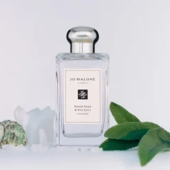 Jo Malone Wood Sage & Sea Salt                Cologne