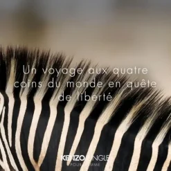 Homme KENZO Jungle Homme                Eau de Toilette