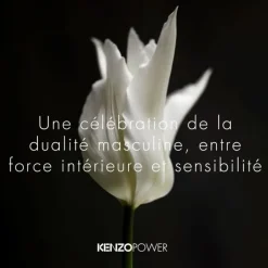 Homme KENZO Power                Eau de Toilette