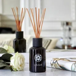 Lalique Voyage de Parfumeur                Figuier Amalfi Italie - Diffuseur de Parfum