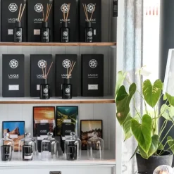 Lalique Voyage de Parfumeur                Figuier Amalfi Italie - Diffuseur de Parfum