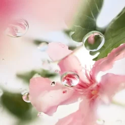 Femme LANCÔME ÔVER THE TOP                Eau de Toilette