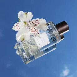 Les Senteurs Gourmandes Musc Blanc                Eau de Parfum 100 ml