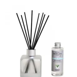 Maison Berger Paris Citronelle Givré                Coffret Bouquet Parfumé